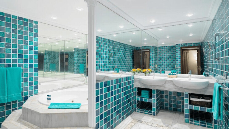 One Bedroom Apartment Suite with Jacuzzi Solarium